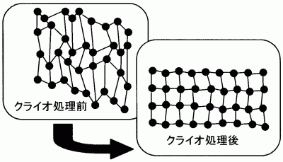 �N���C�I